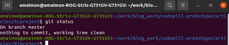 git status after commit